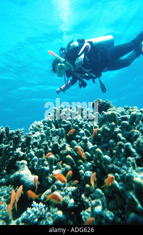 Ragazza 11 scuba diver al di sopra di una barriera corallina su Junior Open Water corso Dahab Sinai Mar Rosso in Egitto Francesca Mayes età 11 anni Foto Stock
