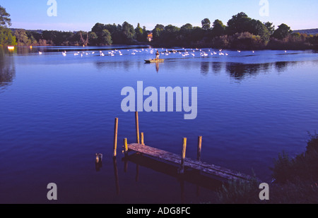 Tring serbatoi Hertfordshire Foto Stock