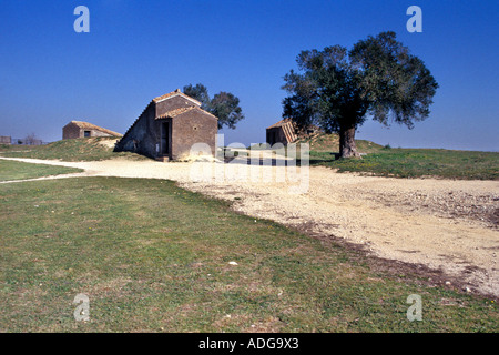 Graves Tarquinia Lazio Italia Foto Stock