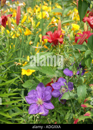 Fiori di Primavera Foto Stock