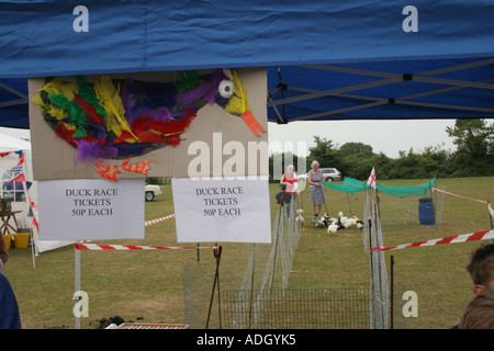 Duck racing a un giardino fete in un villaggio del New Forest Hampshire REGNO UNITO Foto Stock