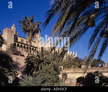 Spagna maiorca kathedral palme Foto Stock