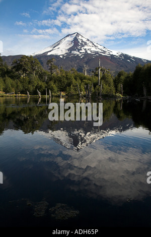 Conguillio Parco Nazionale Foto Stock