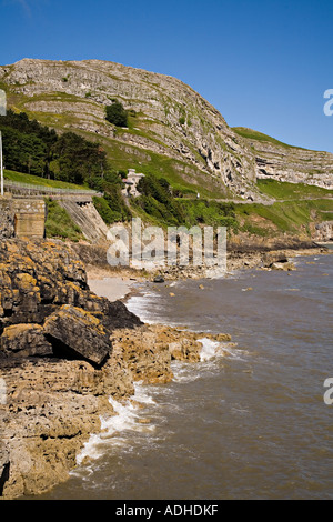 Scogliere calcaree e di costa sul marine drive Great Orme Wales UK Foto Stock