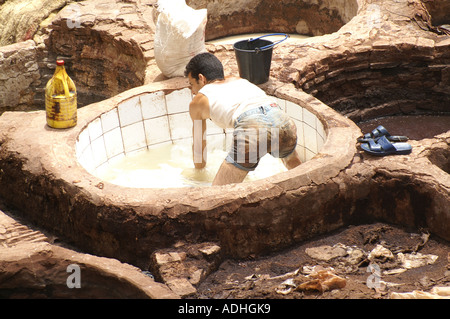 Concerie conceria chouaras a Wadi Fes Fes Marocco Foto Stock