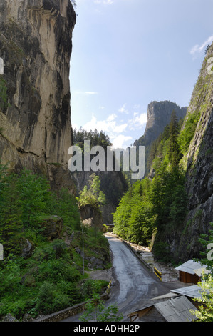 Bicaz Gorge, Moldavia, Romania Foto Stock