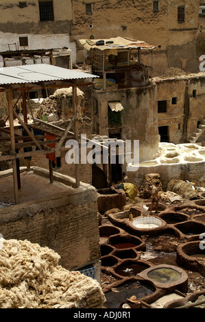 Concerie conceria chouaras a Wadi Fes Fes Marocco Foto Stock