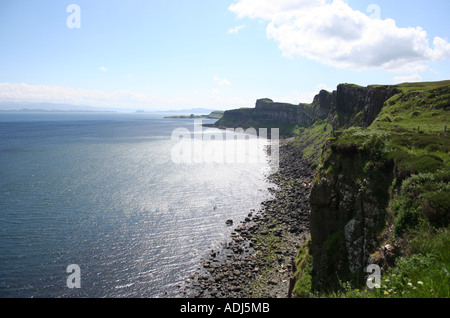 La costa est della penisola di Trotternish vicino Kilt rocce Isola di Skye in Scozia Giugno 2006 Foto Stock