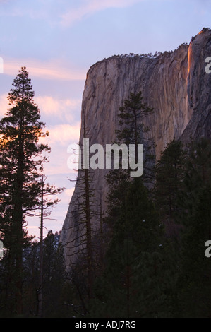 USA California Parco Nazionale Yosemite tardo pomeriggio luce su equiseto scende nella valle di Yosemite Foto Stock
