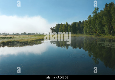 Il fiume Lebed s banca che tradotto come il fiume Swan nella foschia mattutina Altai Russia Foto Stock