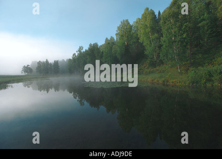 Il fiume Lebed s banca che tradotto come il fiume Swan nella foschia mattutina Altai Russia Foto Stock