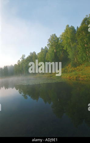 Il fiume Lebed s banca che tradotto come il fiume Swan nella foschia mattutina Altai Russia Foto Stock