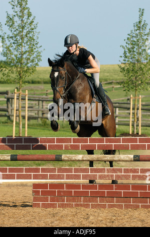 Signora giovane cavaliere jumping con un cavallo bavarese Foto Stock