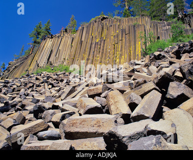 Giunzione colonnare al diavolo s Postpile National Monument in California Foto Stock
