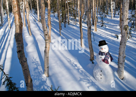 Pupazzo di neve in top hat sciarpa profondo nel bosco di betulle, interior Alaska inverno Foto Stock