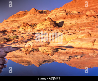 Riflettente stagno di acqua di pioggia sulla Scogliera Vermillion deserto Arizona Utah Foto Stock