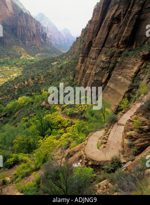 Sentiero in Zion National Park nello Utah Foto Stock