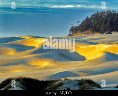 Sandunes al tramonto Oregon Dunes National Area ricreativa Foto Stock