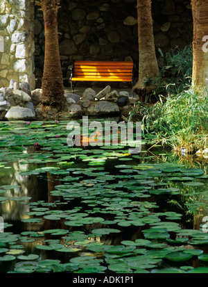 Lily Pond e banco nei giardini di Furnace Creek Inn Death Valley National Par California Foto Stock