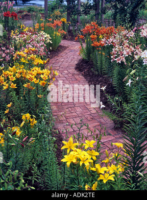 Multi lillies colorati e percorso di mattoni centro ortofrutticolo del Pacifico della Columbia britannica in Canada Foto Stock