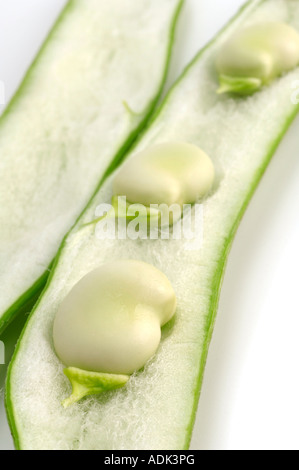 Ampia o Fava, fagiolo split open Foto Stock