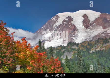 Mt Rainier con la vigna acero in autunno a colori Mt Rainier National Park Washington Foto Stock