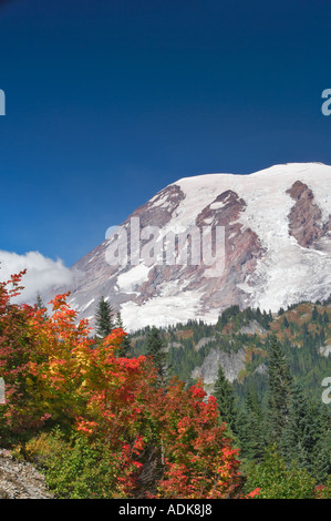 Mt Rainier con la vigna acero in autunno a colori Mt Rainier National Park Washington Foto Stock