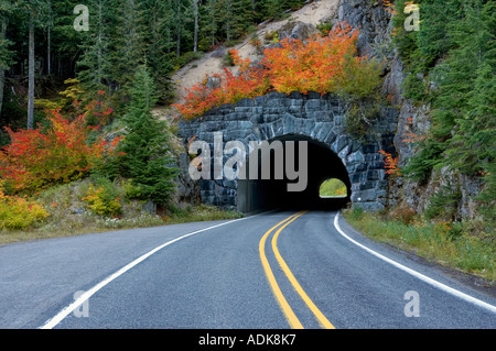 Strada e tunnel attraverso il Monte Rainier National Park Washington con la caduta di colore acero vite Foto Stock