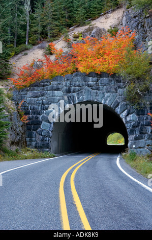 Strada e tunnel attraverso il Monte Rainier National Park Washington con la caduta di colore acero vite Foto Stock