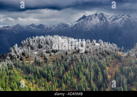 Gamma Nooksack con la prima neve della stagione di Washington Foto Stock