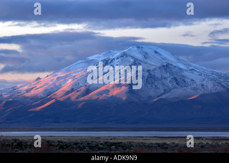 Pueblo Mountain a sunrise Oregon Foto Stock