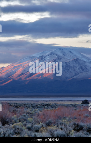 Pueblo Mountain a sunrise Oregon Foto Stock