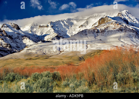 Steens Mountain con neve fresca e il Salice rosso Oregon Foto Stock