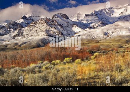 Steens Mountain con neve fresca e il Salice rosso Oregon Foto Stock