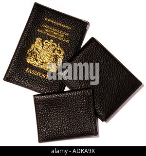Set di passaporto. Articoli da viaggio. Foto da Paddy McGuinness paddymcguinness Foto Stock