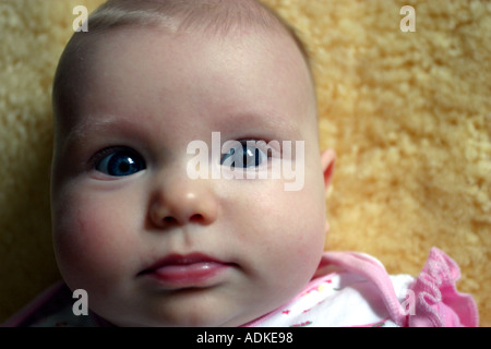 Neonato sdraiato sul vello Foto Stock