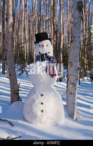 Pupazzo di neve in top hat sciarpa profondo nel bosco di betulle, interior Alaska inverno Foto Stock