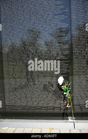 Un single rose visto presso il Memoriale dei Veterani del Vietnam, Washington DC, Stati Uniti d'America Foto Stock