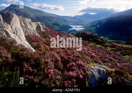 Moel Siabod Llyn Mymbyr Snowdon Snowdonia North Wales UK Foto Stock