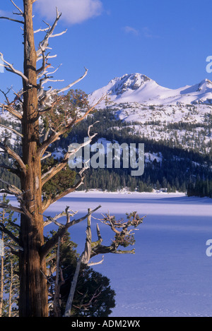 Inverno al Lago Caples nell'Eldorado National Forest, Sierra Nevada, in California, Stati Uniti d'America Foto Stock