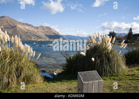 WANAKA laghi del sud dell'Isola del Sud della Nuova Zelanda può guardare attraverso il lago Wanaka verso la città marina Foto Stock