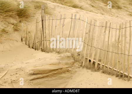 Protezione Erasion recinzioni in dune a Camber Sands Segala East Sussex England Foto Stock