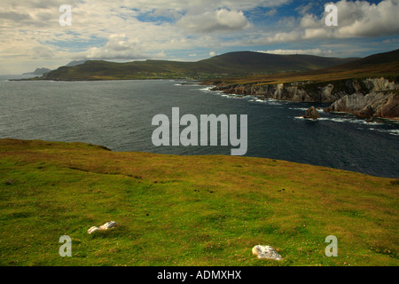 Testa di Dooega Minaun e dall'Atlantico Drive con Croaghaun in distanza, di Achill Island, nella contea di Mayo, Irlanda. Foto Stock