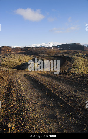 Berserkjahraun moss coperto campo di lava lo sporco percorso stradale 558 vicino Sykkisholmur penisola Snaefellsnes West Islanda EU Europe Foto Stock