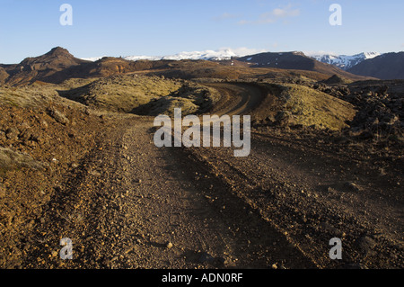 Berserkjahraun moss coperto campo di lava route 558 vicino Sykkisholmur penisola Snaefellsnes West Islanda EU Europe Foto Stock