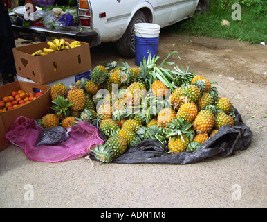 SAN IGNACIO BELIZE AMERICA CENTRALE agosto una selezione di frutta è prevista su di un coperchio per la vendita Foto Stock