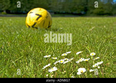 Un pallone da calcio nel parco Foto Stock
