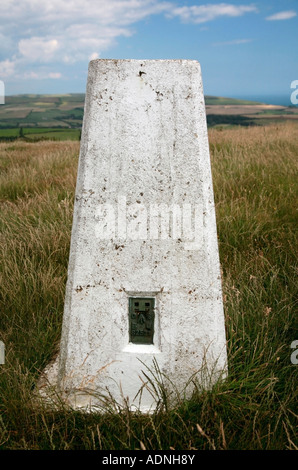 Punto di triangolazione sulla cima di St Catherine giù, Isle of Wight, Regno Unito Foto Stock