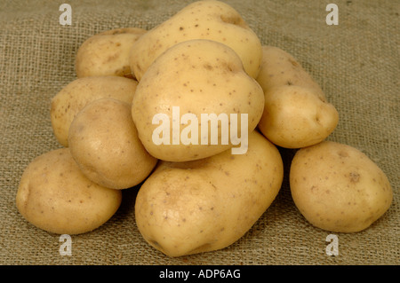 Tuberi di Maris Piper patate ex negozio o supermercato Foto Stock