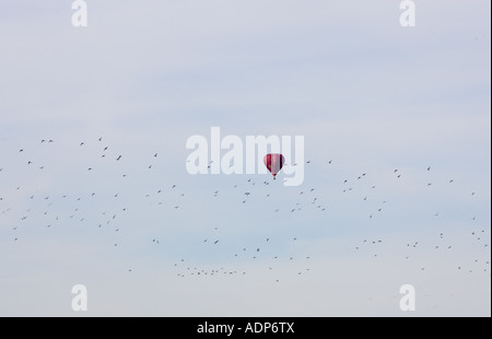 In mongolfiera ad aria calda e il gregge di Waders sorvolare Bourton sull'acqua England Regno Unito Foto Stock